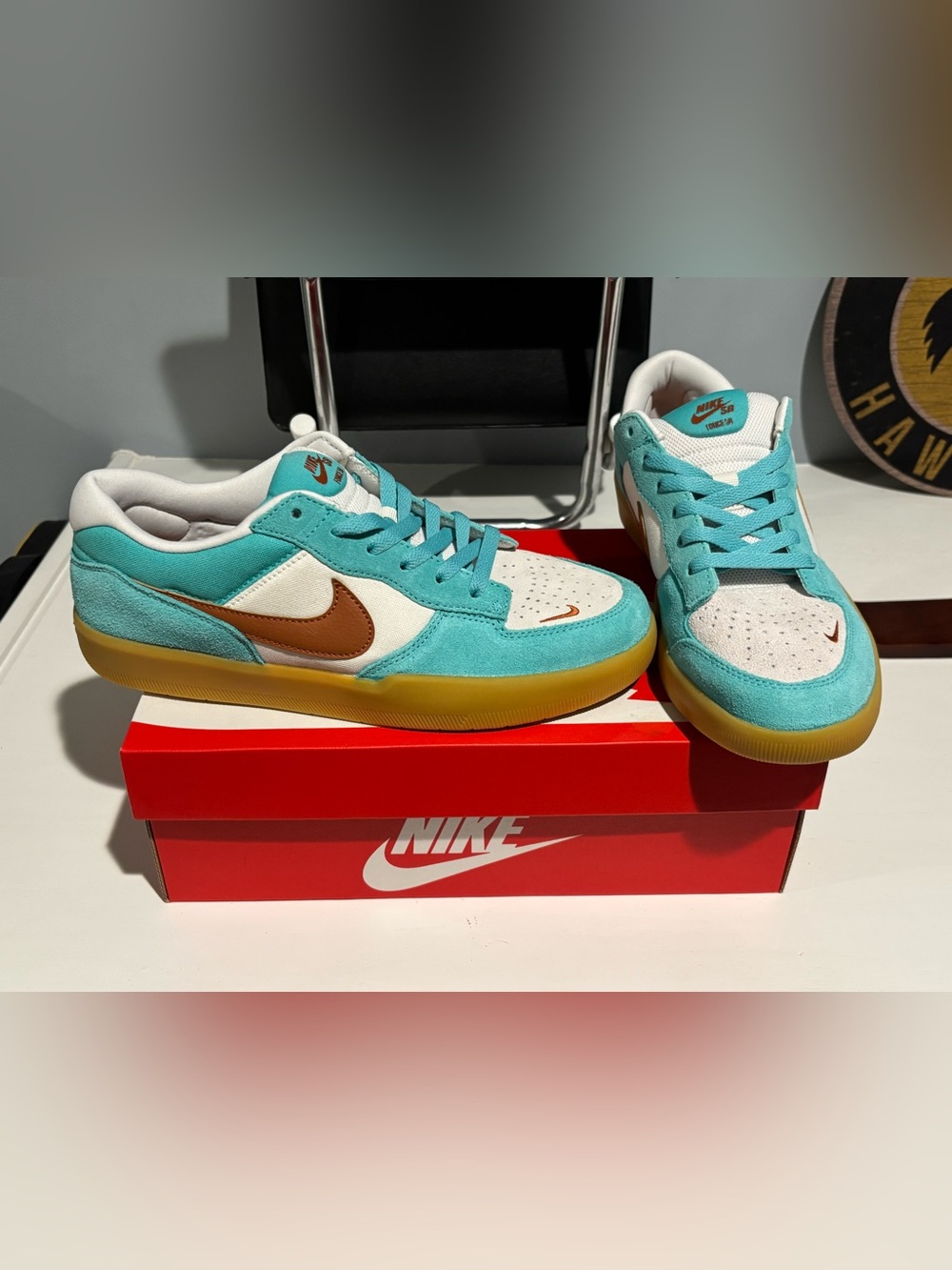 New Nike SB Force 58 SB Dusty Cactus DV5477-302 - Mens size 10